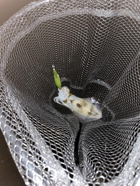 風裏あるかな!?