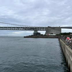 台風前のサビキ釣り