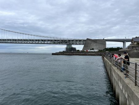 台風前のサビキ釣り