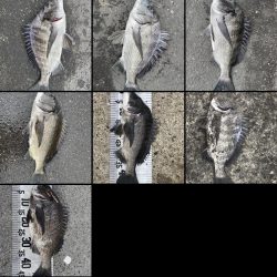 イチノ兄弟、釣果!