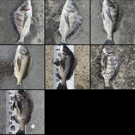 イチノ兄弟、釣果!