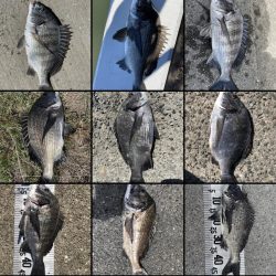 イチノ兄弟、釣果！