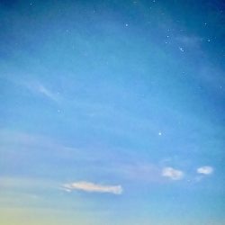 ショアジギ ング