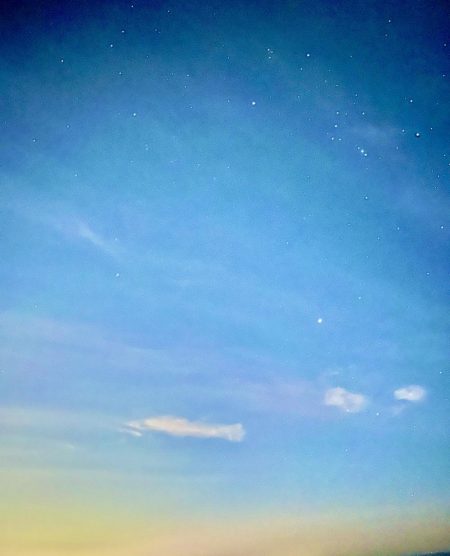 ショアジギ ング