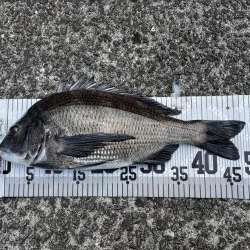 イチノ兄弟、釣果！