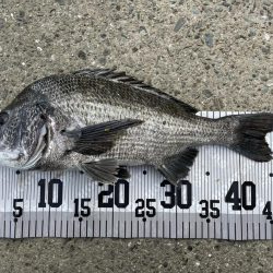 イチノ兄弟、釣果！