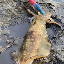 試しに3.5号投げてみた