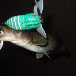 浅いバイトに苦戦