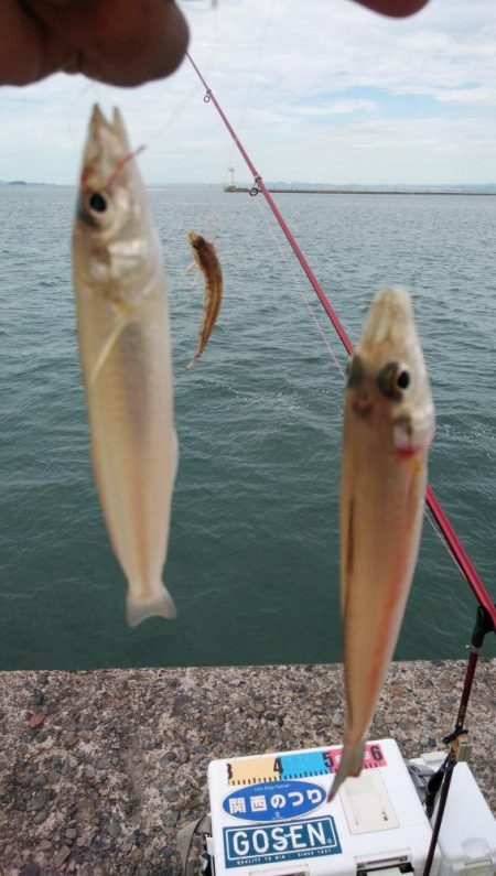 日ムラが激しい播磨新島のキス