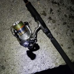 TEAMゲッソー調査隊