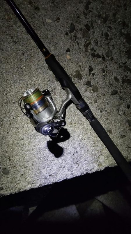 TEAMゲッソー調査隊