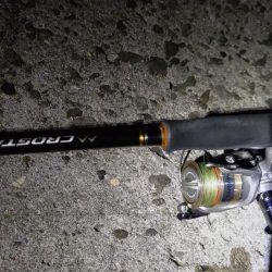 TEAMゲッソー調査隊