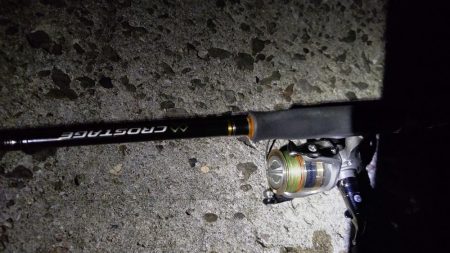 TEAMゲッソー調査隊