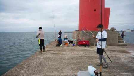 シーズン39回目の播磨新島釣行