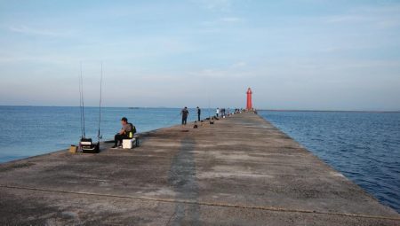 良型キスが釣れ始めました