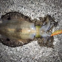 やっぱりスランプ!?