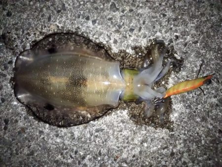 やっぱりスランプ！？