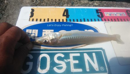 少しづつキスの型が良くなりました