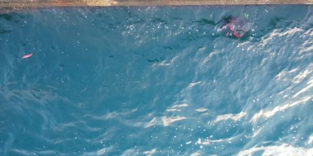 アオリ狙いで数か所釣行