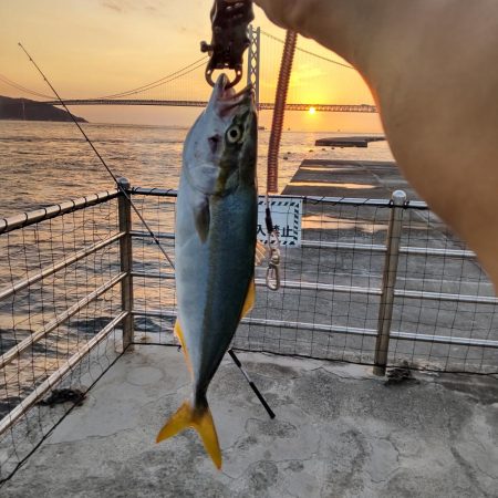 夕まづめにショアジギング