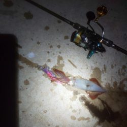 おでこ ペンペン