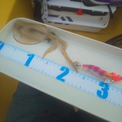 溜まり場見つけられず