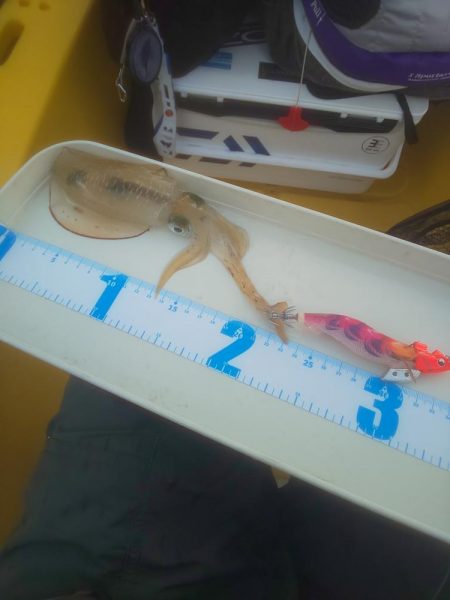 溜まり場見つけられず