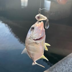 トップアジング