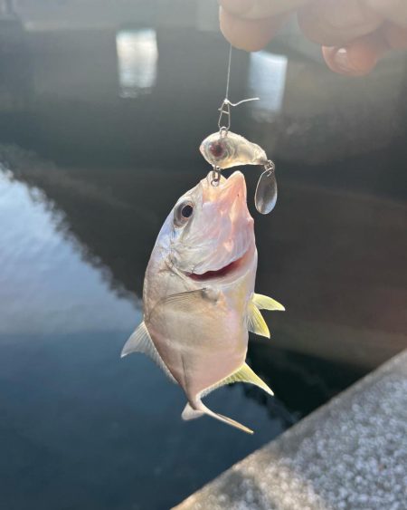 トップアジング