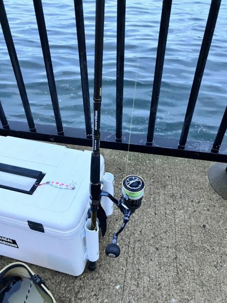 グッドコンディションのメジロ