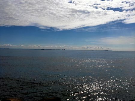 久々のシーバス