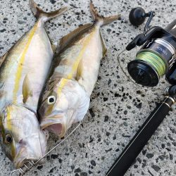 今年はネイリが多い