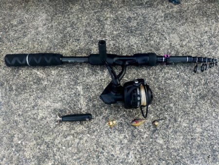 自作レジンバイブでサバ