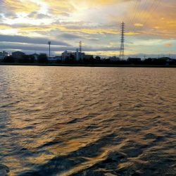 強風の武庫川で