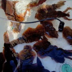 3ヶ月ぶり釣行。