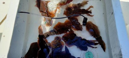 3ヶ月ぶり釣行。