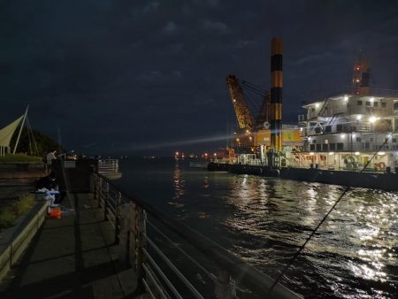 南港魚釣園は爆釣、一方シーサイドコスモは…