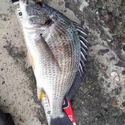 朝練してきました