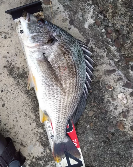 朝練してきました