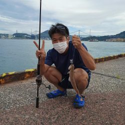 サゴシが出始めてますね