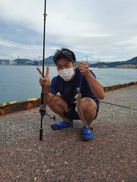 サゴシが出始めてますね