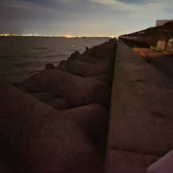 タチウオは楽しい☆