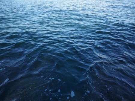 ビッグバッカーでメジロ