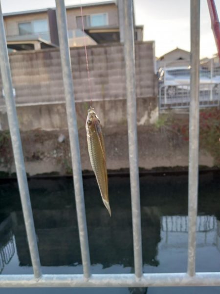 子供のお供に！