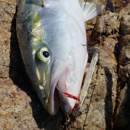 久々にメジった