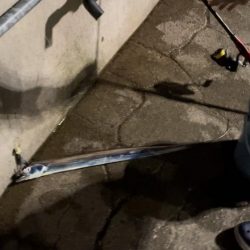 淡路島観光ホテルでタチウオ、ケンサキイカ、カワハギ