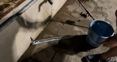 淡路島観光ホテルでタチウオ、ケンサキイカ、カワハギ