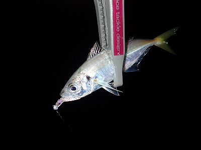 パターンにハマると連発でした！