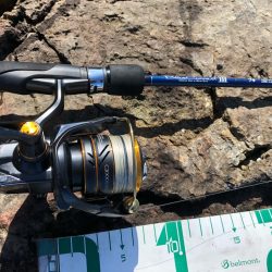 2022 佐渡ヶ島エギング 5回目