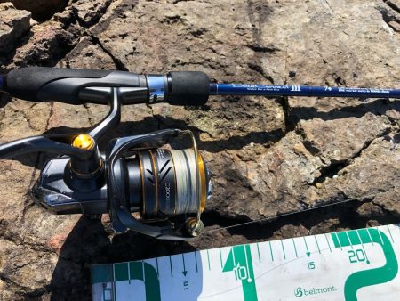 2022 佐渡ヶ島エギング 5回目